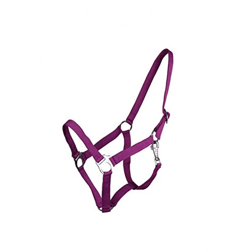 Licol en nylon lilas avec réglage en continu ultra précis pour mini shetty