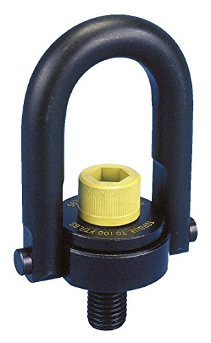 Hoist Ring, 1000lb, 3/8-16 Thread Size