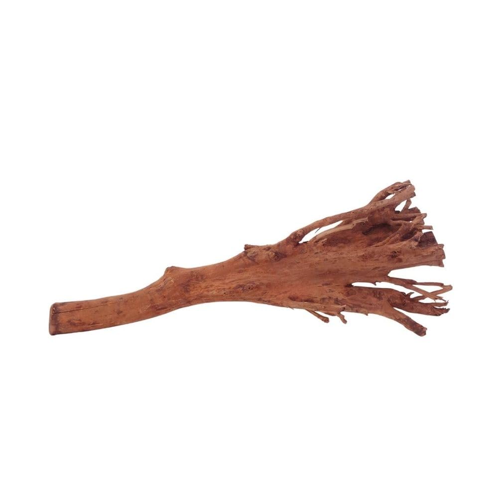 AquaOne Aquarium Wurzel M Jungle Wood Nr.4484 Aquarium Wurzel Holz Deko Aquascaping Dekoration Landschaft Moos Natur Echtholz