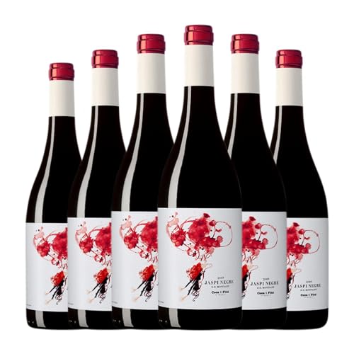 Coca i Fitó Jaspi Negre Montsant Joven 75 cl Vino tinto (Caja de 6 Botellas de 75 cl)