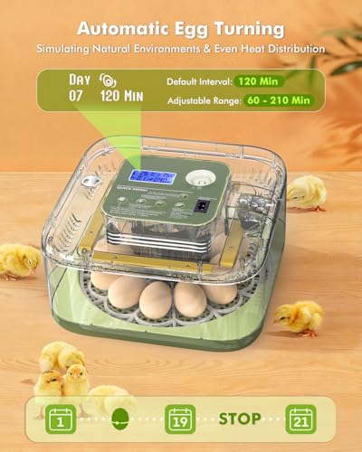 Worshow Egg Incubator, 12 Egg Incubators for Hatching Eggs with Automatic Turning and Humidity Control - 360° View, Integrated Egg Candler Incubator for Hatching Chickens, Ducks, Quail & Other Birds
