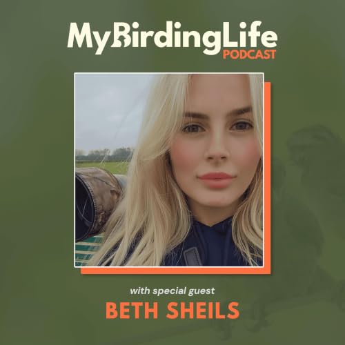 Embarking Upon a Great British Bird Quest with Beth Sheils
