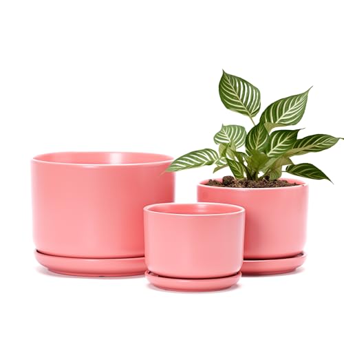 Ceramic Plant Pots,Planters with Drainage Hole&Saucer 3 Pack(Matte Orange)