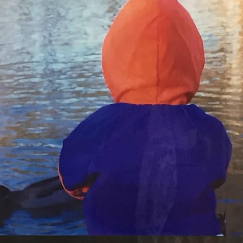 『The Letters to My Son: Facing the Death of My Child from a Drug Overdose.』のカバーアート