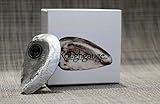 Jake Blade Sistema de brazo de trémolo para guitarra eléctrica, accesorio para guitarra Paul Reed Smith PRS