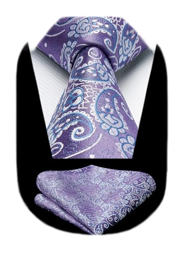 Image of HISDERN Ties for Men Paisley Tie and Pocket Square Woven Classic Floral Mens Ties Handkerchief Set Wedding Party Necktie