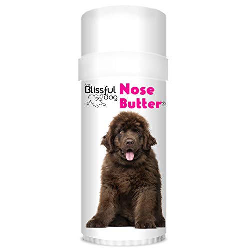 The Blissful Dog Bronze Newfoundland Nose Butter, 2OZ