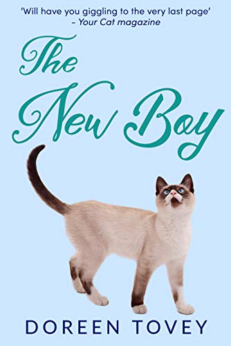 The New Boy (Feline Frolics Book 5)