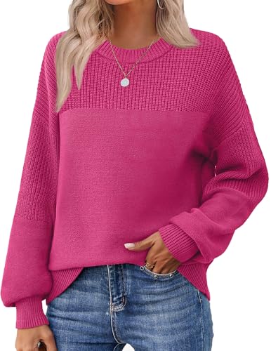 Zeagoo Women's 2025 Fall Chunky Knit Sweater Oversized Crewneck Long Sleeve Winter Cotton Pullover Sweaters Jumper Tops