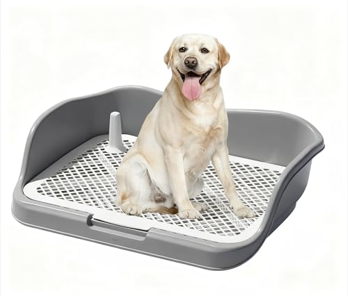 Xy[XgCg[  gC  gCg[ Ch ϋvh݌v ^Ή ͂ݏoh~ ^Ή ֗ p֊ ^ r V[cΉ Ch݌v gCg[ pgC{bNX/O ^ ^