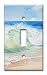 Art Plates Brand Single Toggle Switch/Wall Plate - Beach Painting