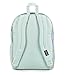 JanSport Laptop Backpack - Computer Bag with 2 Compartments, Ergonomic Shoulder Straps, 15” Laptop Sleeve, Haul Handle - Faded Floral Fresh Mint