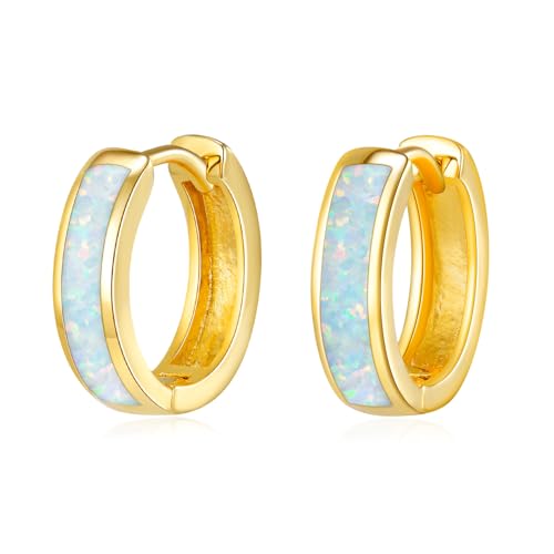 Small Gold Hoop Earrings for Women