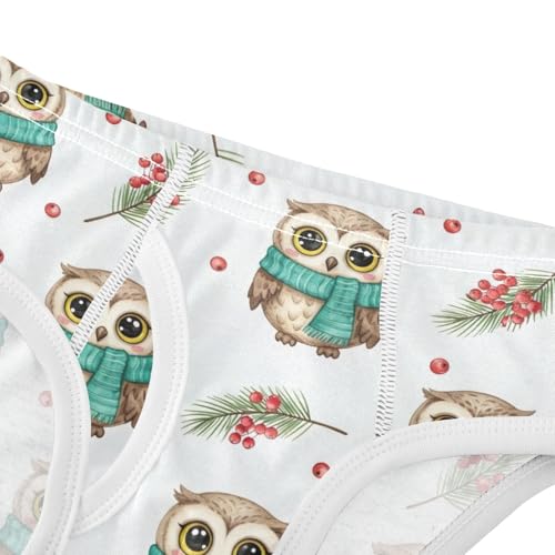 CHIFIGNO Briefs for Boys Cute Winter Owl White Cotton Boys Underwear Soft Breathable Brief Underwear4