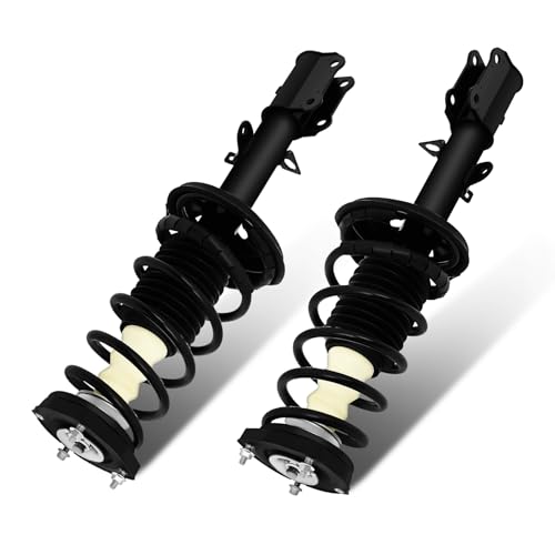 SCITOO Rear Complete Struts Assembly Coil Springs Shock Struts171953 171954 Fit for 1998-2002 for Chevrolet Prizm,1993-1997 for Toyota Corolla 1993-1997 for Geo Prizm