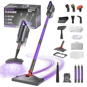 BlackForest Works 2-in-1 Dampfreiniger,1500W Handgerät,15s Aufheizung,Weiß