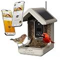 Birds Choice Smart Bird Feeder with Camera | Solar Powered Bird Watching for Outdoors | AI to Identify Bird Species, Capable of Real-Time Streaming | Wireless with Camera, Waterproof Construction