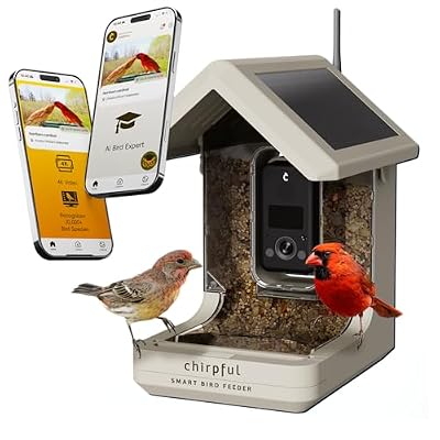 Birds Choice Smart Bird Feeder with Camera | Solar Powered Bird Watching for Outdoors | AI to Identify Bird Species, Capable of Real-Time Streaming | Wireless with Camera, Waterproof Construction