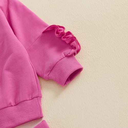 Muasaaluxi Toddler Baby Girl Valentines Day Outfit Long Sleeve Lovely Embroidery Sweatshirt Long Pants 2Pcs Clothes Set3