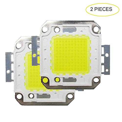 2PCS 100W LED Chip Blanco 6000K 220V COB Bombillas LED para Luz de Inundación LED, luz de Techo, Alta Potencia Lampara Ahorradora de Energia Tesfish