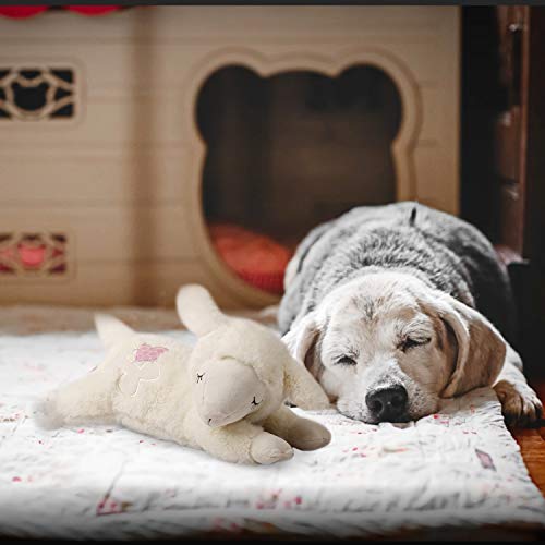 all for paws little buddy heart beat sheep