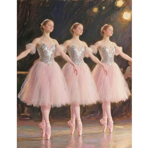 TDFERAN Perles de Diamant Ballerine Rose 40x50cm Diamond Painting Danseuse Ballerine Peinture Numéro Danseuse Femm Broderie Diamant Ballet Ange Elfe Fée Kit...
