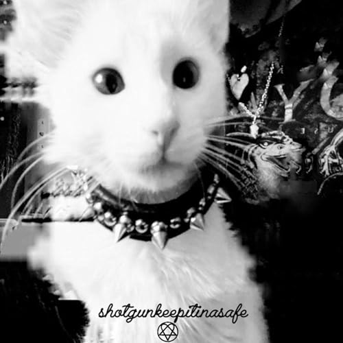 shotgunkeepitinasafe