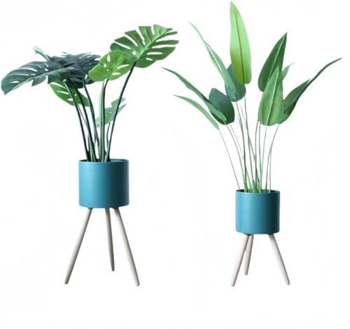 IWEJ kؐrtAؔJo[ fUC pt[X^h Av^[bN (i32cmj,u[)