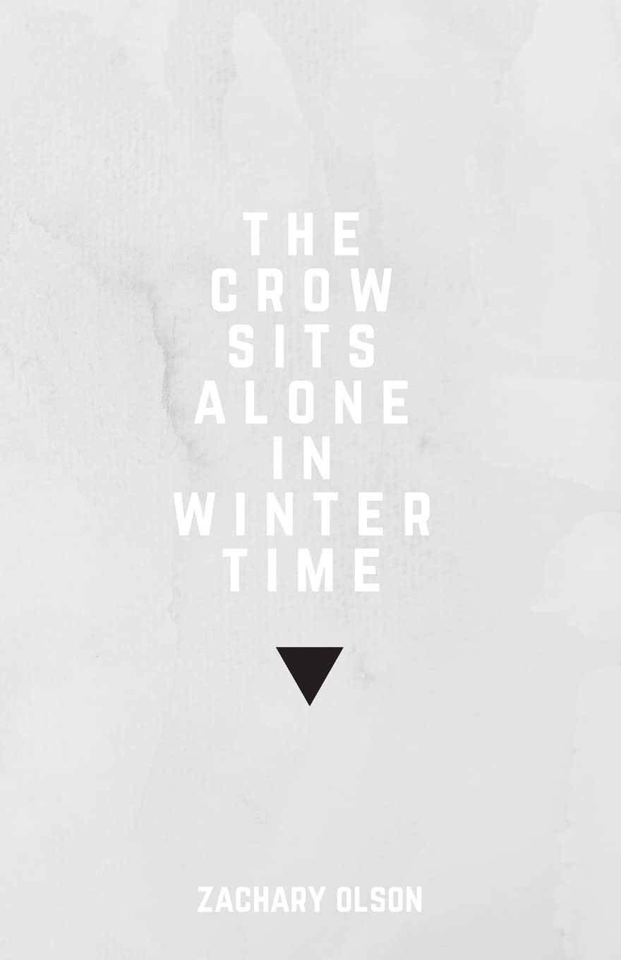 the crow sits alone in winter time