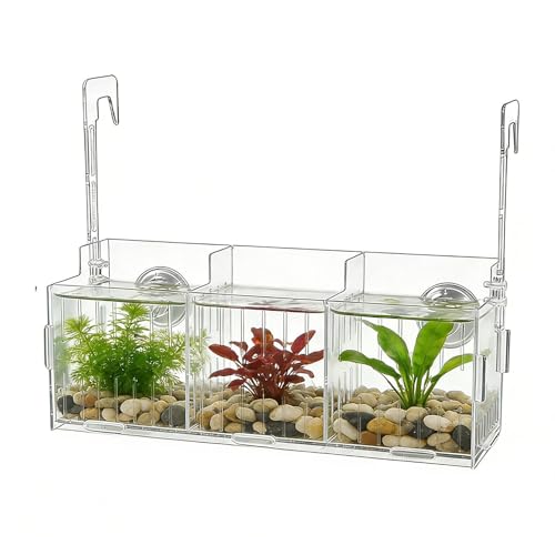 Portapiante per Acquario,Divisore in Acrilico Trasparente - Vaso Per Acquario In Acrilico Con Altezza Regolabile E Doppio Gancio,Per Decorazione Subacquea Piante Acquatiche Muschio E Rampicanti