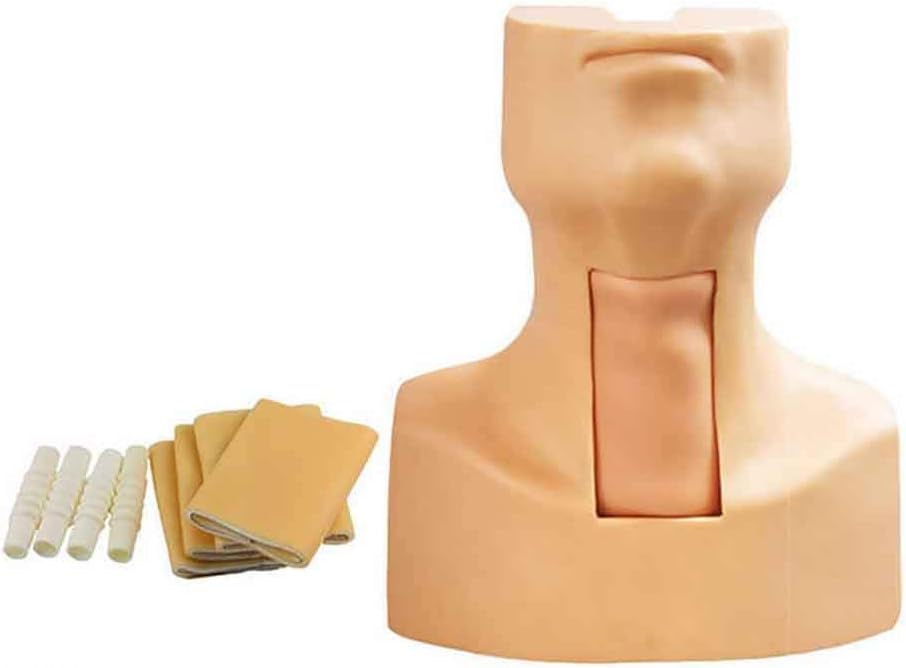 Cricothyrotomy, Tracheotomy Care Training Manikin PVC Tracheostomy Simulator Model,with 4X Simulated Trachea and 4X Neck Skin for Hospitals,Schools,Research Centre etc