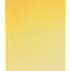 221 Jaune Brilliant Dark
