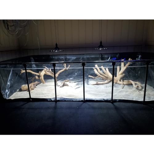 Piscine à cadre en acier et réservoir haut de gamme pour poissons