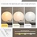 Fivemengo Paper Lantern Lamp Plug in Hanging Lamp 23.6in White Rice Paper Pendant Light with 19.7FT Cord Large Globe Japanese Japandi Wabi Sabi Chandelier for Dining Living Room Bedroom Office 1 Pack