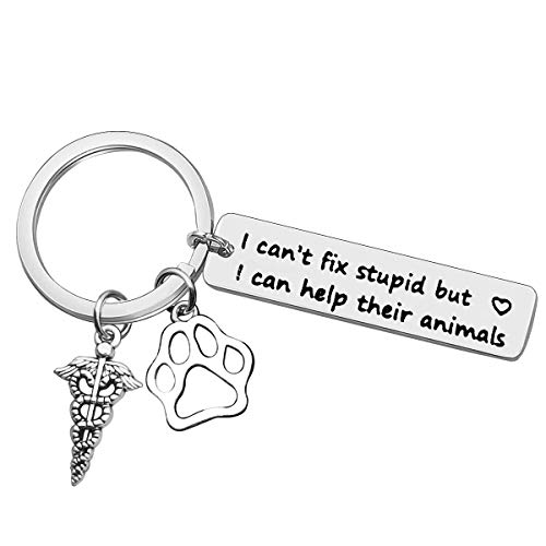 Ciyumu Veterinarian Keychain Veterinarian Gift Appreciation Gift for Medical Veterinary Practitioner Vet Keychain Vet Tech Appreciation Gift Veterinary Medicine Graduation Gift Veterinary Technician Jewelry, Silver, Small