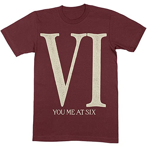 Photo de You Me At Six T-shirt Roman VI Slim Fit pour homme Marron, bordeaux, Taille L