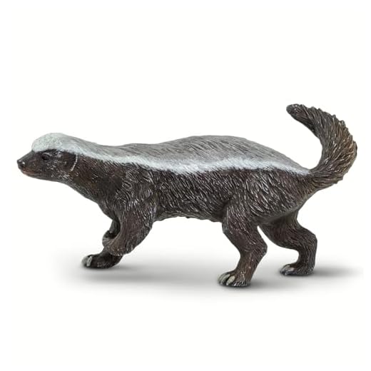 Safari 100272 - Honey Badger