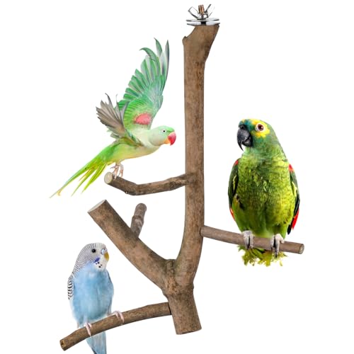 Bird Perch Stand, Natural Vitex Negundo Wood Parrot Perch Bird Cage Branch Perch, Accessories for Parakeets, Cockatiels, Conures, Macaws, Finches, LoveBirds (12