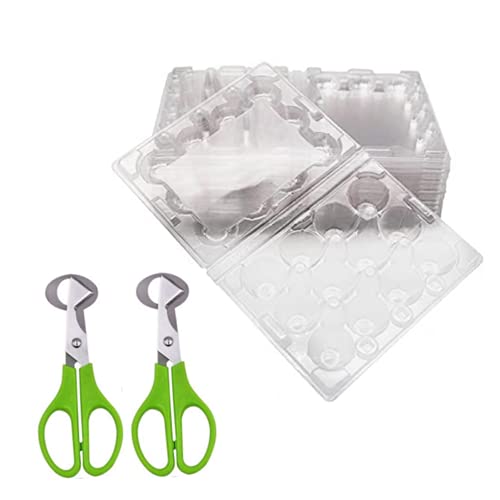 Quail Egg Cartons 12 Grids Small Egg Storage Holders Quail Eggs Bulk Carton Trays & 2PCS Stainless Steel Cutter