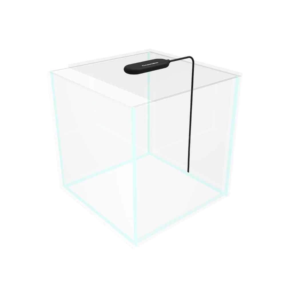 COLLAR AquaLighter LumiSet 5l - Nano-Aquarium mit Ultra-transparentem Glas mit leuchtenden Kanten - mit Abdeckscheibe, Unterlegmatte und LED-Beleuchtung
