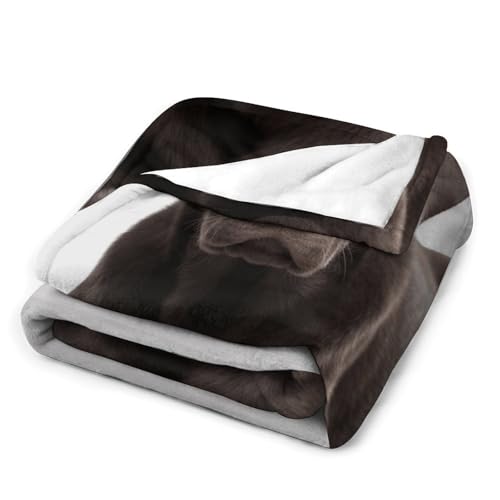 Couverture flanelle imprimé chien jeté de lit ultra doux 177x203