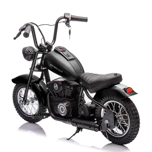 24V 250W Kids Electric Dirt Bike