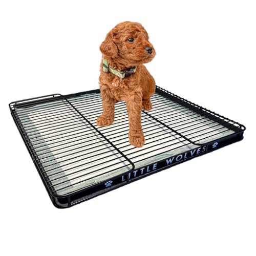 Little Wolves Puppy Potty Tray 22x22 Shred-Proof Heavy-Duty Training Tray for Puppies & Small Dogs Easy-Clean Indoor Dog Pee Pad Holder (Medium Gap)
