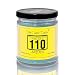 Race Fuel High Octane Gasoline Candle- 6 oz- up to 40 Hour Burn- Hand Poured in Indiana
