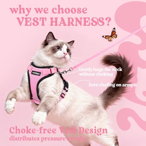 Image of rabbitgoo Cat Harness and Leash Set, Escape Proof Vest, Pink