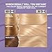 Garnier Hair Color Nutrisse Ultra Color Nourishing Creme, LB1 Ultra Light Cool Blonde (Calla Lily) Permanent Hair Dye, 1 Count (Packaging May Vary)