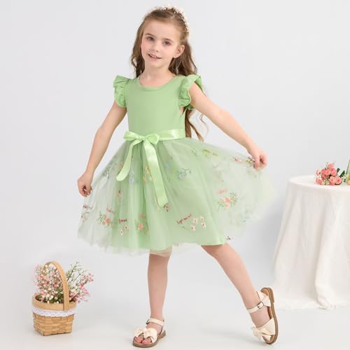 Toddler Girls Baby Tutu Tulle Dress Ruffled Sleeve Embroidered Floral Princess Party Dresses Summer Clothes 2-7Y2