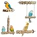 鳥 止まり木 スタンド 4本セット 天然木 インコ 止まり木 立つ棒 ブランコ 爪研ぎ 爪を磨く 噛むおもちゃ 鳥休み場所 インコ オウム カナリア セキセイインコ オカメインコ コザクラインコ 文鳥 鳥用品 ケージアクセサリー