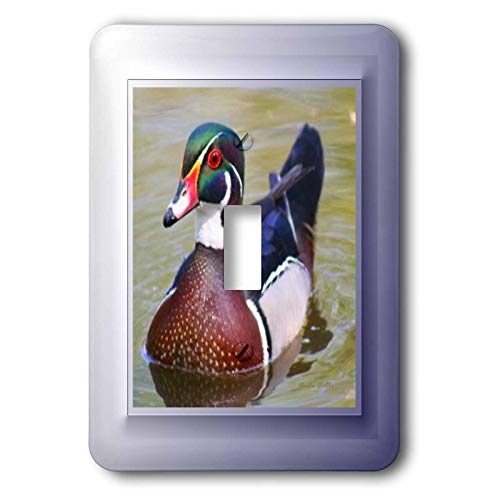 Interrupteur à baïonnette Wood Duck 3dRose, plaque de commande multicolore - 2