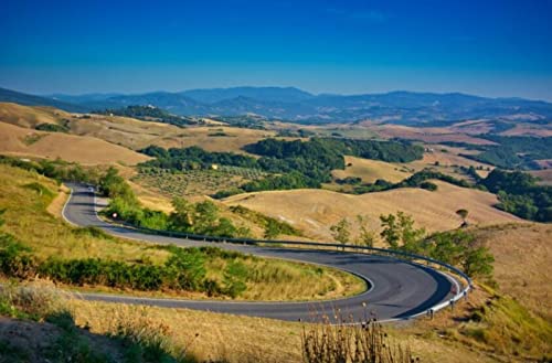 Camino Sinuoso Rompecabezas De 1000 Piezas Rompecabezas Desafiante Caja De Rompecabezas Avanzada Regalo De Cumpleaños Para Padre Y Madre Cover
